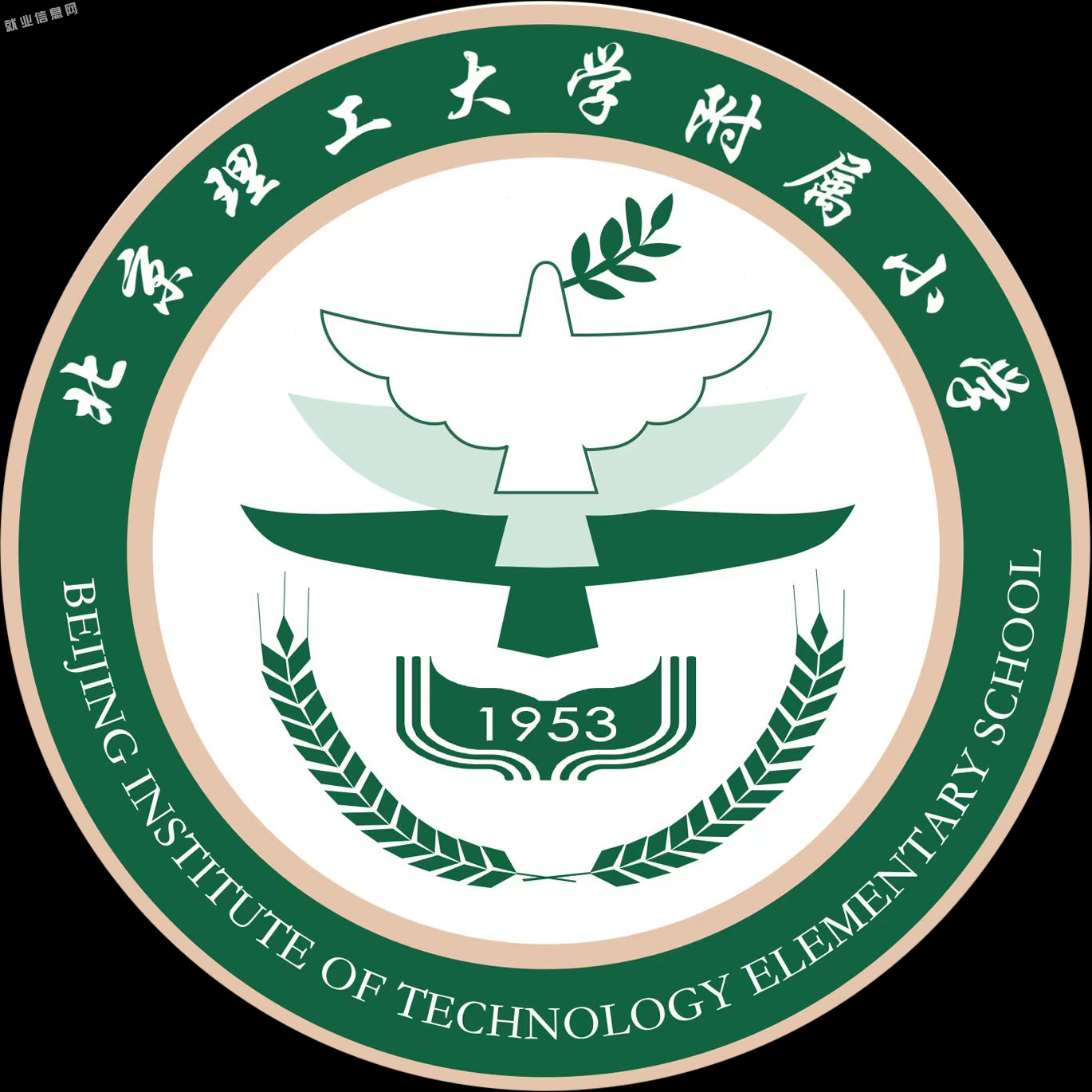 北京师范大学就业资讯网